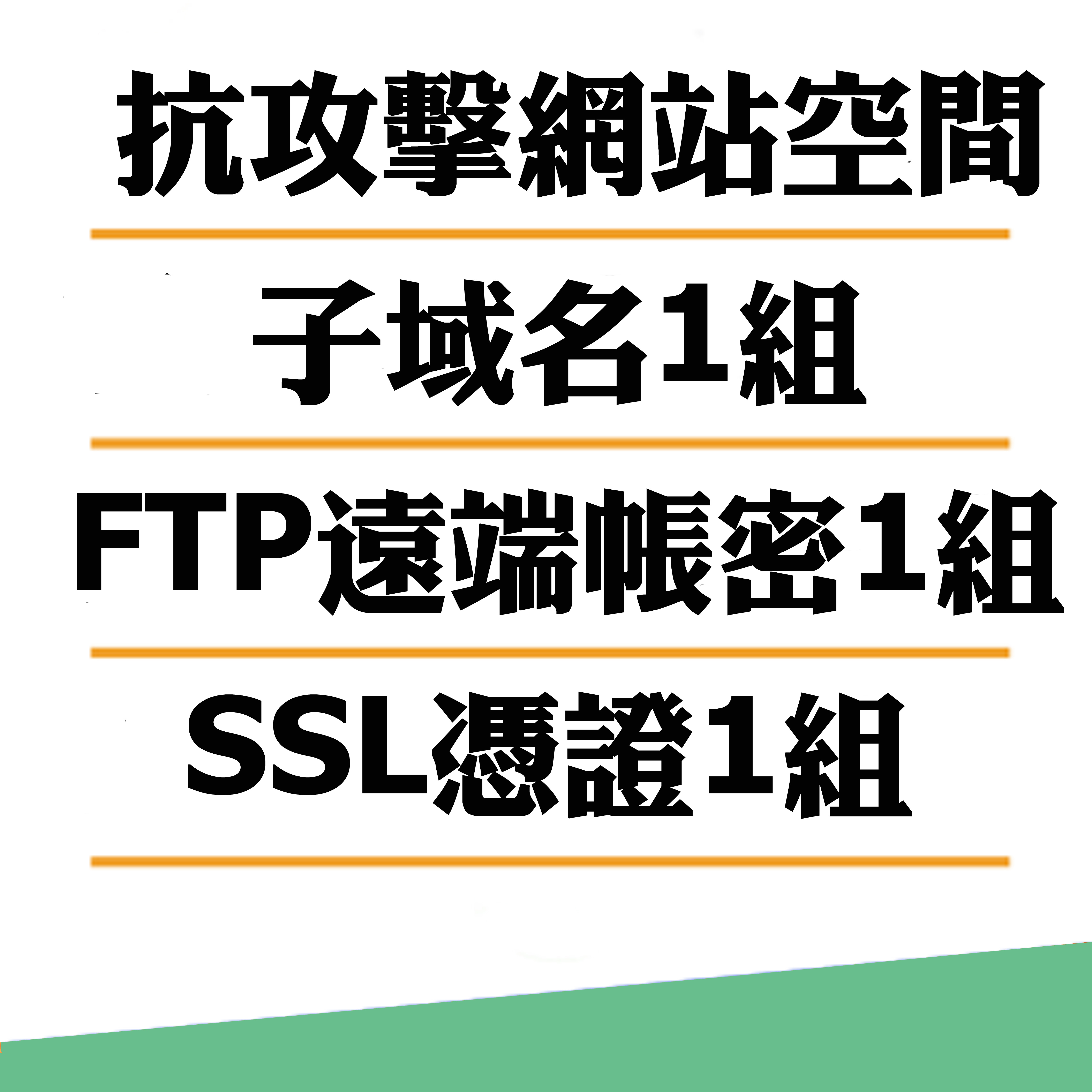 抗攻擊網站服務